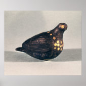 Voetdove Poster (Voorkant)