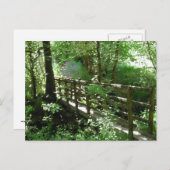Voetgangersbrug in Bos Briefkaart (Voorkant / Achterkant)