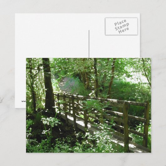 Voetgangersbrug in Bos Briefkaart (Voorkant / Achterkant)