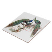  voetgangersvogels Wilde dieren Tegel Tegeltje (Zijkant)