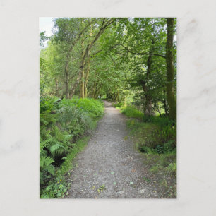 Voetpad door bossen op het eiland Bute Schotland Feestdagenkaart
