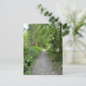 Voetpad door Bossen op het eiland Bute Scotland Feestdagenkaart (Staand voorkant)
