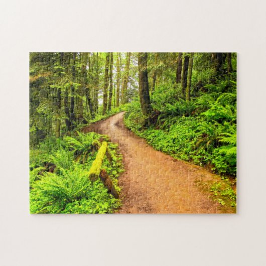Voetpad in het bospark legpuzzel (Horizontaal)
