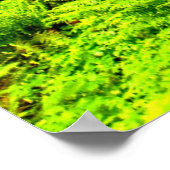 Voetpad in het bospark poster (Hoek)