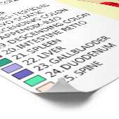 voetreflexologie 12x12 inch poster (Hoek)