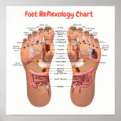 voetreflexologie 12x12 inch poster (Voorkant)