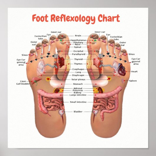 voetreflexologie 12x12 inch poster (Voorkant)