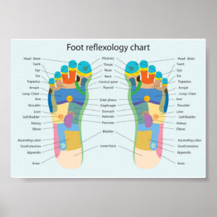 voetreflexologie - 7x5" poster