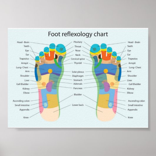 voetreflexologie - 7x5" poster (Voorkant)