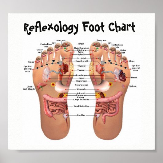 voetreflexologie 8x7" poster (Voorkant)