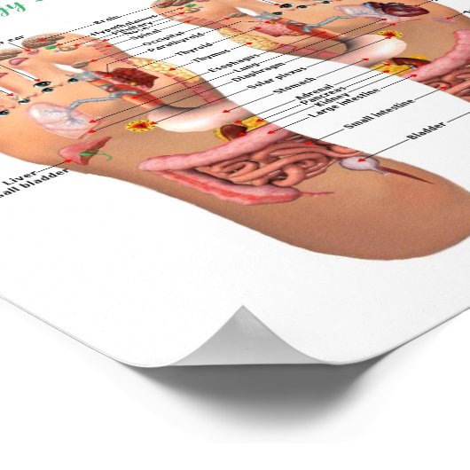 voetreflexologie 8x7" poster (Hoek)