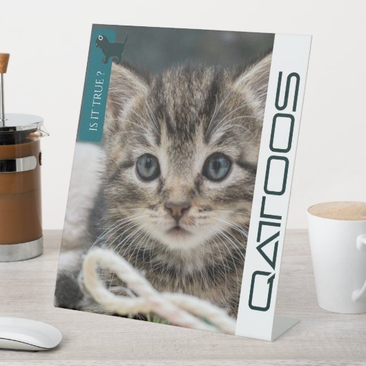 VOETTEKEN VAN QATTOOS RECLAMEBORD MET VOETSTUK (Insitu)