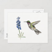 Voetvogel en Bluebonnet Briefkaart (Voorkant / Achterkant)