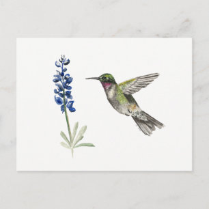 Voetvogel en Bluebonnet Briefkaart