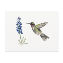 Voetvogel en Bluebonnet