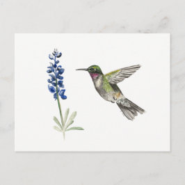 Voetvogel en Bluebonnet Briefkaart