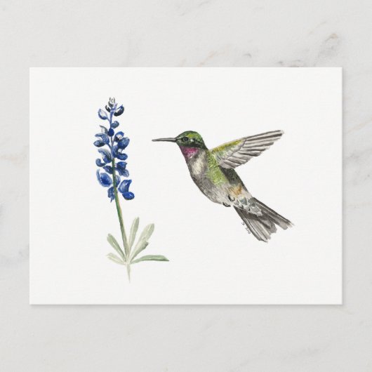 Voetvogel en Bluebonnet Briefkaart (Voorkant)