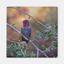 Voetvogel in de zon magneet
