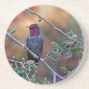 Voetvogel in de zon zandsteen onderzetter