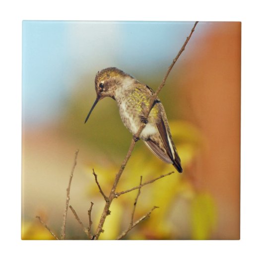 Voetvogel in een tak tegeltje (Voorkant)