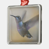 Voetvogel in flater metalen ornament (Links)