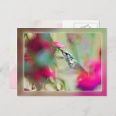 Voetvogel in Soft Fuchsia Briefkaart (Voorkant / Achterkant)