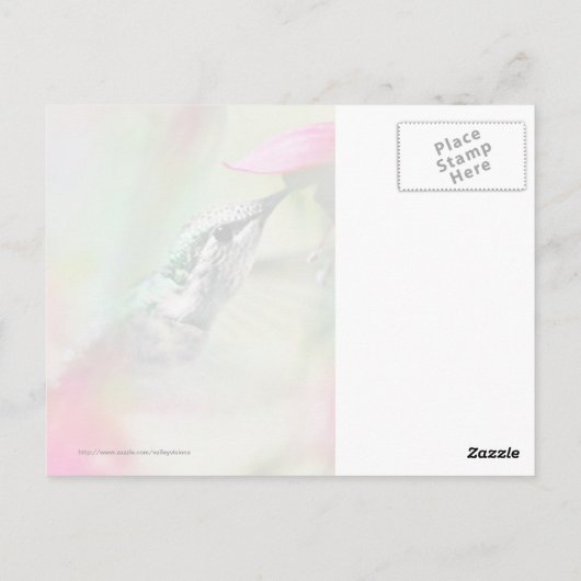 Voetvogel in Soft Fuchsia Briefkaart (Achterkant)