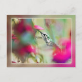 Voetvogel in Soft Fuchsia Briefkaart (Voorkant)