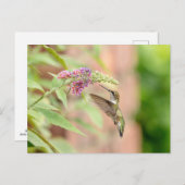 Voetvogel op een bloeiend plant briefkaart (Voorkant / Achterkant)