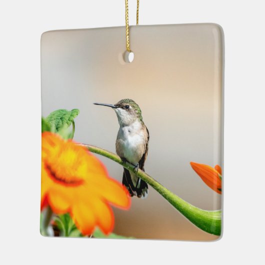 Voetvogel op een bloeiend plant keramisch ornament (Links)