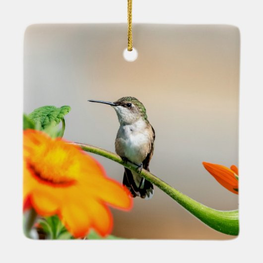 Voetvogel op een bloeiend plant keramisch ornament (Achterkant)