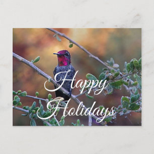 Voetvogel op zonsonderend briefkaart Prettige fees