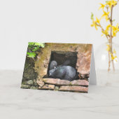 Voetvogels voor altijd leeg in Wenskaart Kaart (Gele Bloem)