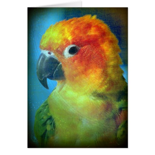  vogel (Voorkant)