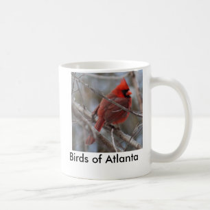 vogel3, vogels van Atlanta Koffiemok