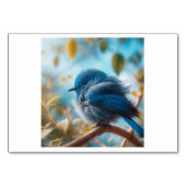 Vogel (鸟 / niăo) - Chinese Flash Kaarten (Voorkant)