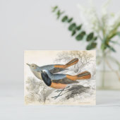 vogel 07 briefkaart (Staand voorkant)