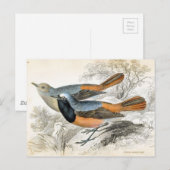 vogel 07 briefkaart (Voorkant / Achterkant)