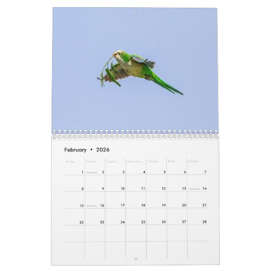 Vogel 2026 kalender (Feb 2026)
