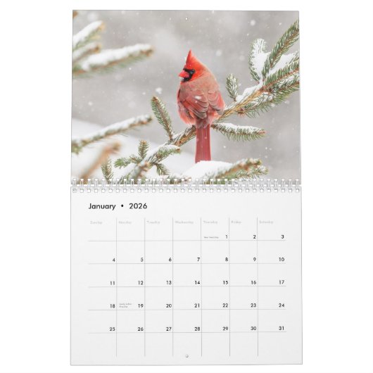 Vogel 2026 kalender (Jan 2026)