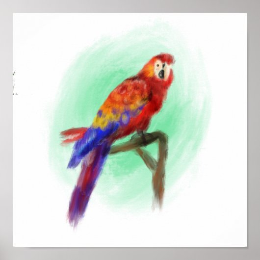 Vogel 3 poster (Voorkant)