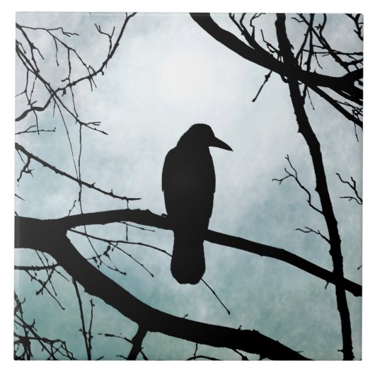 vogel 77 Crow Raven Tegeltje (Voorkant)