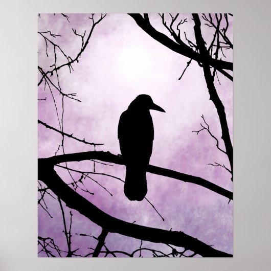 vogel 78 Crow Raven Poster (Voorkant)