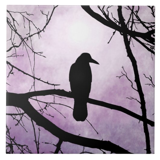 vogel 78 Crow Raven Tegeltje (Voorkant)