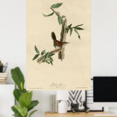 Vogel, Amerika, Bewick Wren, Audubon,  Poster (Thuiskantoor)
