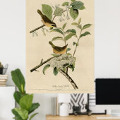 Vogel, Amerika, Geel Gebost Warbler, Audubon Poster (Thuiskantoor)