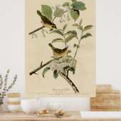 Vogel, Amerika, Geel Gebost Warbler, Audubon Poster (Keuken)
