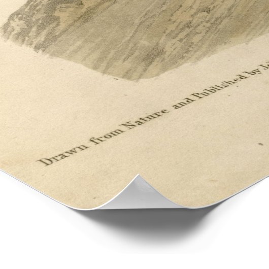 Vogel, Amerika, Great Footed Hawk, Audubon,  Poster (Hoek)