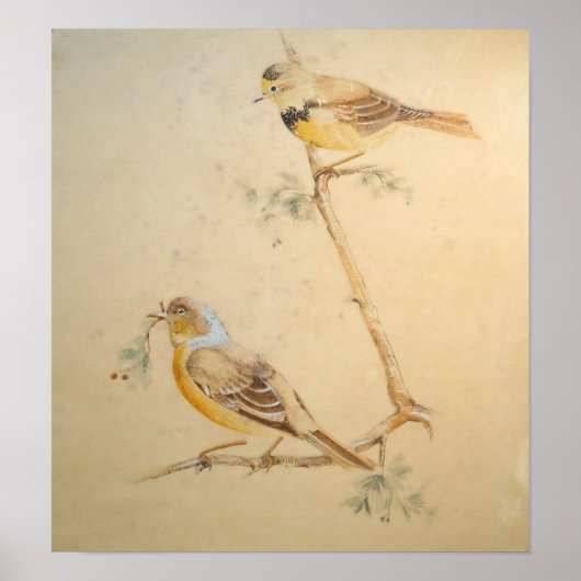 Vogel Aquarel – Natuurlijke Muurkunst Poster (Voorkant)
