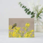 vogel briefkaart (Staand voorkant)
